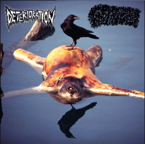 Deterioration : Deterioration - Gastroptosis